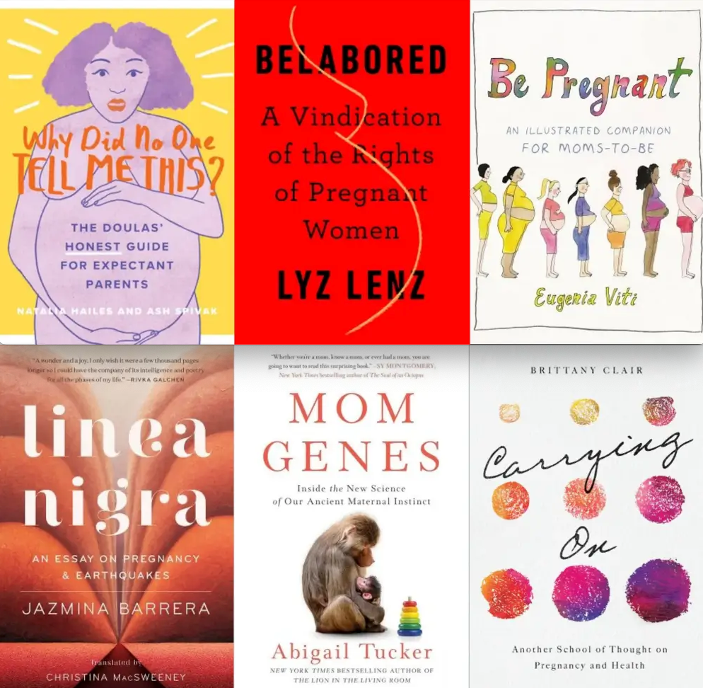Storq Library: Books on Pregnancy